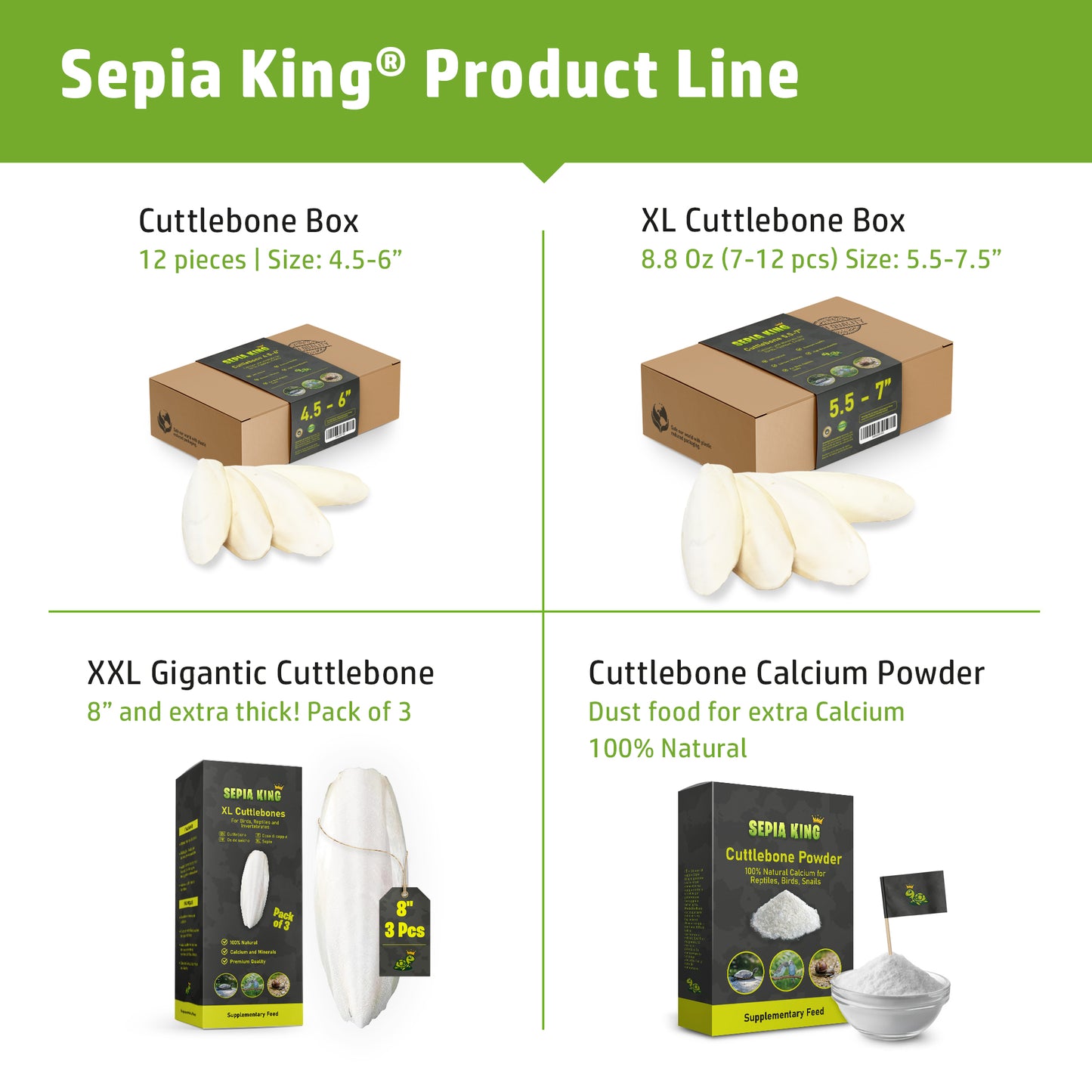 Sepia King Premium Cuttlebones - Box of 8.8oz | Size: 5.5-7in