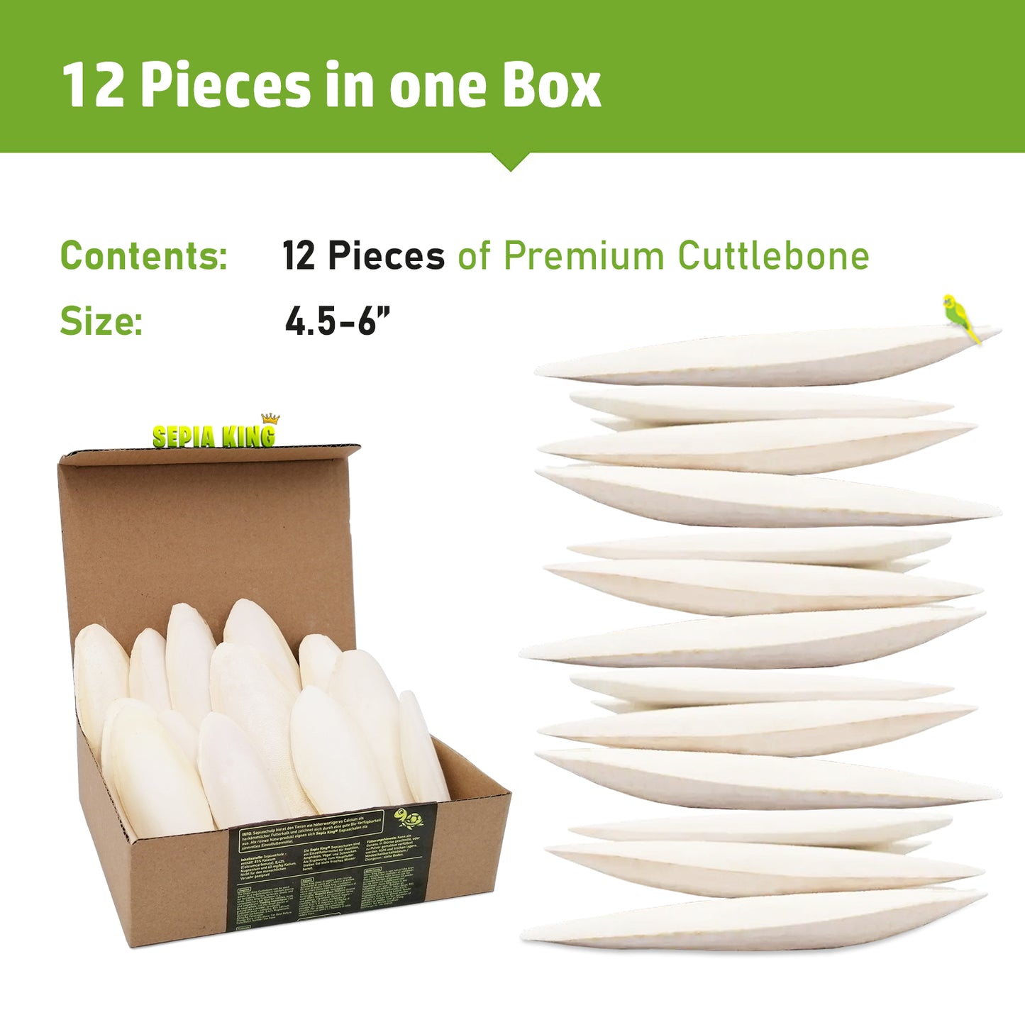 Sepia King Premium Cuttlebones - 12 Pieces | Size: 4.5-6in