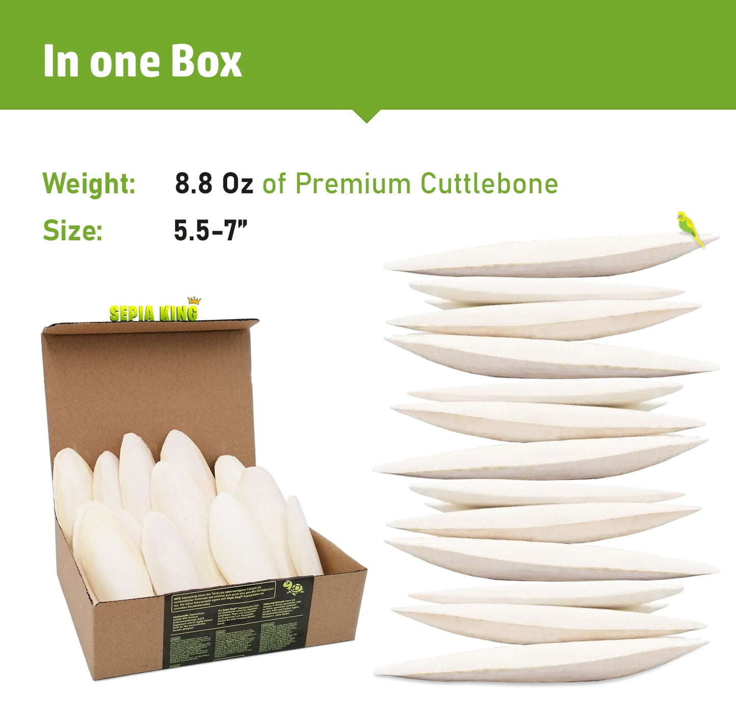 Sepia King Premium Cuttlebones - Box of 8.8oz | Size: 5.5-7in