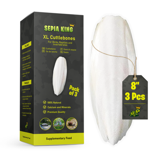 Sepia King XXL Premium Cuttlebone - Size: 8in | Count: 3pcs