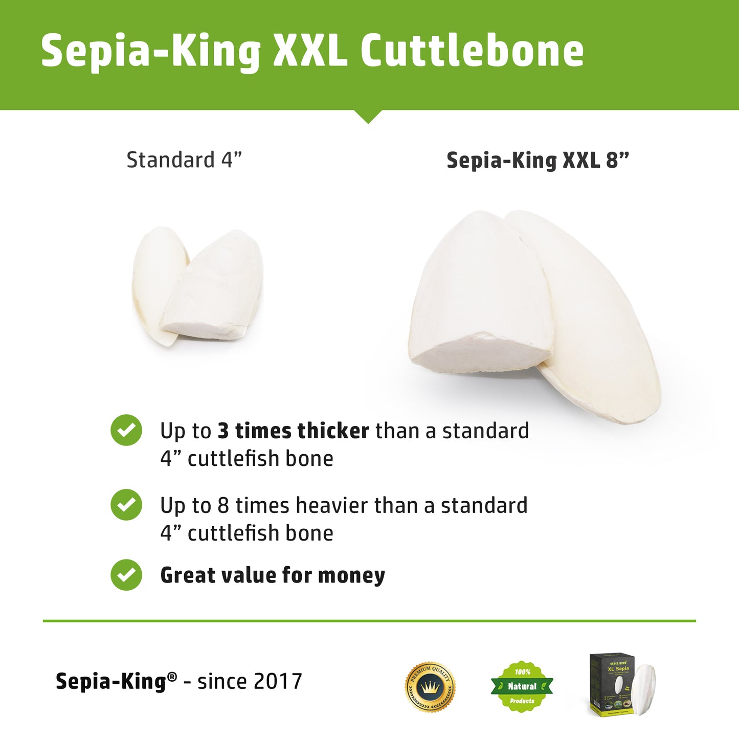Sepia King XXL Premium Cuttlebone - Size: 8in | Count: 3pcs